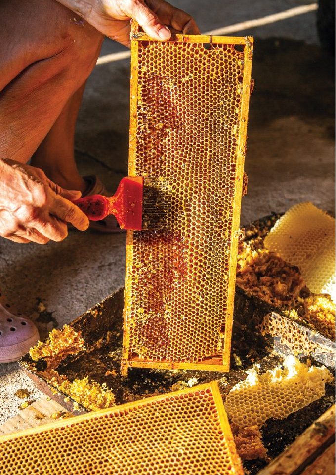 imagenes_web_Mesa de trabajo 1 copia imagenes_web_Mesa de trabajo 1 copia