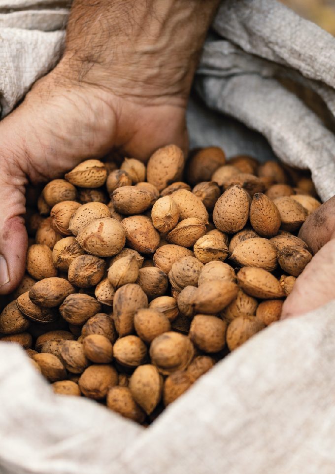 imagenes_web_Mesa de trabajo 1 imagenes_web_Mesa de trabajo 1